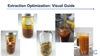 Extraction Optimization: Visual Guide
 