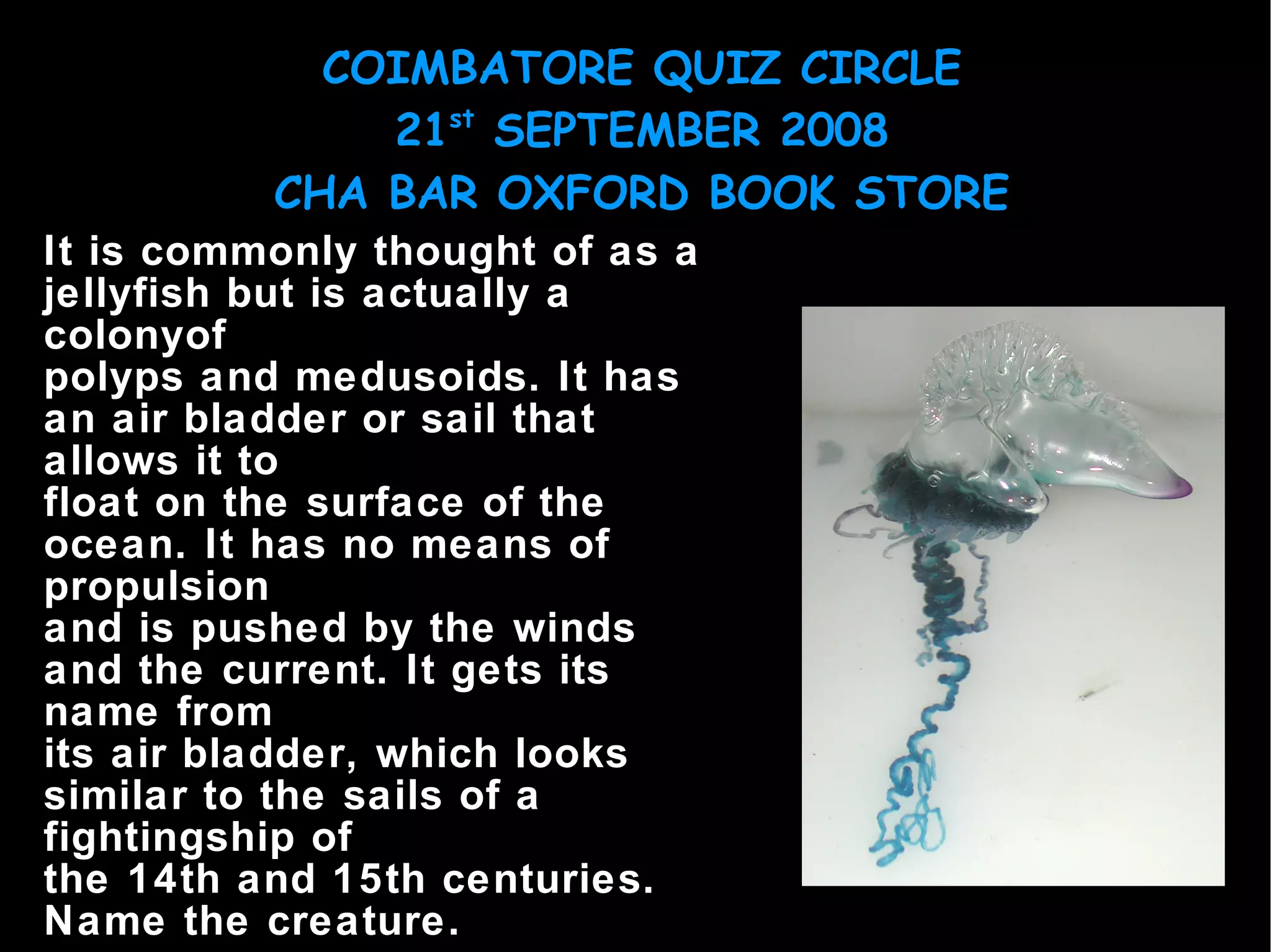 It is commonly thought of as a jellyfish but is actually a colonyof polyps and medusoids. It has an air bladder or sail that allows it to float on the surface of the ocean. It has no means of propulsion and is pushed by the winds and the current. It gets its name from its air bladder, which looks similar to the sails of a fightingship of the 14th and 15th centuries. Name the creature. 
