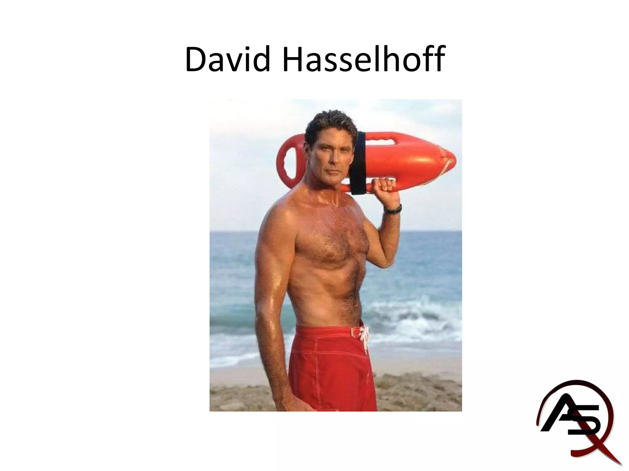 David Hasselhoff 