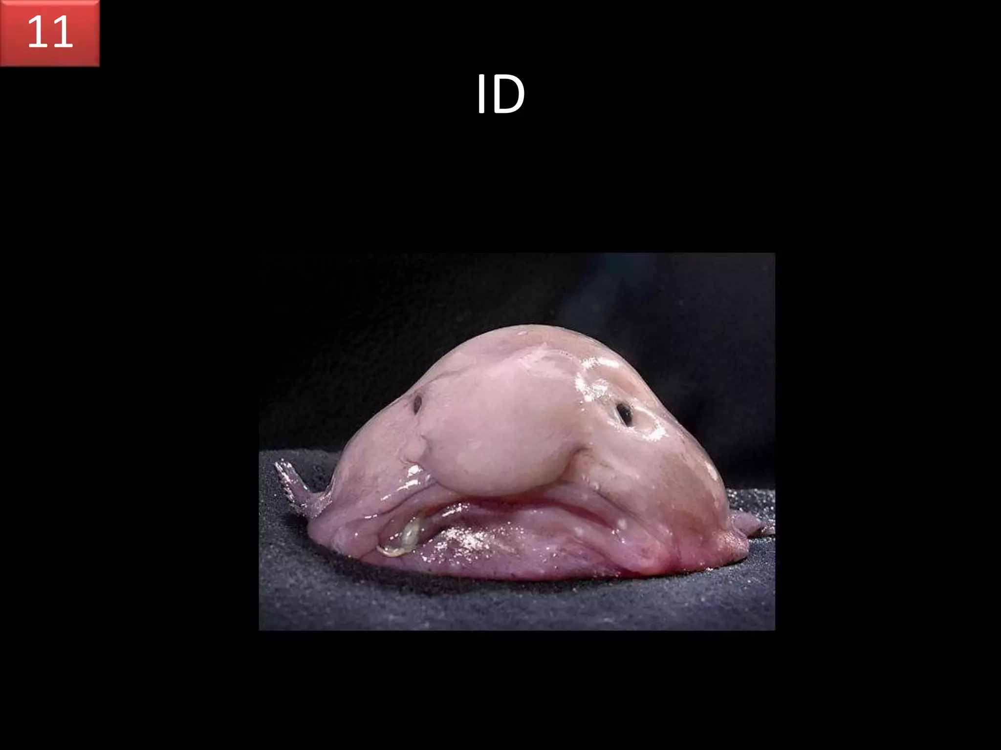 ID
11
 