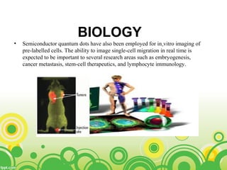 BIOLOGY
• Semiconductor quantum dots have also been employed for in vitro imaging of
pre-labelled cells. The ability to image single-cell migration in real time is
expected to be important to several research areas such as embryogenesis,
cancer metastasis, stem-cell therapeutics, and lymphocyte immunology.
 