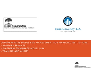 COMPREHENSIVE MODEL RISK MANAGEMENT FOR FINANCIAL INSTITUTIONS-ADVISORY SERVICES-PLATFORM TO MANAGE MODEL RISK-TRAINING AND AUDITS  