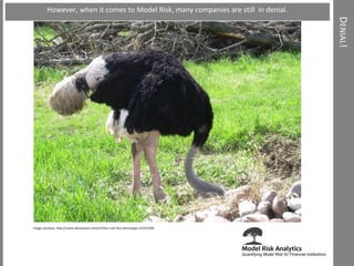 Image courtesy: http://zsantz.deviantart.com/art/Yes-I-am-the-stereotype-121253300 
DENIAL! 
However, when it comes to Model Risk, many companies are still in denial.  