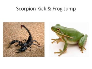 Scorpion Kick & Frog Jump
 