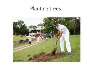 Planting trees
 