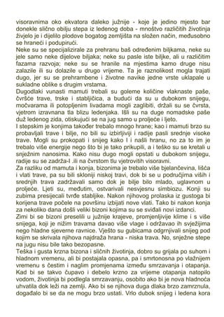 visoravnima oko ekvatora daleko južnije - koje je jedino mjesto bar
donekle slično obilju stepa iz ledenog doba - mnoštvo različitih životinja
živjelo je i dijelilo plodove bogatog zemljišta na složen način, međusobno
se hraneći i podupirući.
Neke su se specijalizirale za prehranu baš određenim biljkama, neke su
jele samo neke dijelove biljaka; neke su pasle iste biljke, ali u različitim
fazama razvoja; neke su se hranile na mjestima kamo druge nisu
zalazile ili su dolazile u drugo vrijeme. Ta je raznolikost mogla trajati
dugo, jer su se prehrambene i životne navike jedne vrste uklapale u
sukladne oblike s drugim vrstama.
Dugodlaki vunasti mamuti trebali su goleme količine vlaknaste paše,
čvršće trave, trske i stabljičica, a budući da su u dubokom snijegu,
močvarama ili potopljenim livadama mogli zaglibiti, držali su se čvrsta,
vjetrom izravnana tla blizu ledenjaka. Išli su na duge nomadske paše
duž ledenog zida, otiskujući se na jug samo u proljeće i ljeto.
I stepskim je konjima također trebalo mnogo hrane; kao i mamuti brzo su
probavljali trave i bilje, no bili su izbirljiviji i radije pasli srednje visoke
trave. Mogli su prokopati i snijeg kako l i našli hranu, no za to im je
trebalo više energije nego što bi je tako prikupili, a i teško su se kretali u
snježnim nanosima. Kako nisu dugo mogli opstati u dubokom snijegu,
radije su se zadrža-I .ili na čvrstom tlu vjetrovitih visoravni.
Za razliku od mamuta i konja, bizonima je trebalo više bjelančevina, lišća
i vlati trave, pa su bili skloniji niskoj travi, dok bi se u područjima viših i
srednjih trava zadržavali samo dok je bilje bilo mlado, uglavnom u
proljeće. Ljeti su, međutim, ostvarivali nesvjesnu simbiozu. Konji su
zubima presijecali tvrđe stabljike. Nakon njihovog prolaska iz gustoga bi
korijena trave počele na površinu izbijati nove vlati. Tako bi nakon konja
za nekoliko dana došli veliki bizoni kojima su se sviđali novi izdanci.
Zimi bi se bizoni preselili u južnije krajeve, promjenljivije klime i s više
snijega, koji je nižim travama davao više vlage i održavao ih svježijima
nego hladne sjeverne ravnice. Vješto su gubicama odgrnjivali snijeg pod
kojim se skrivala njihova najdraža hrana - niska trava. No, snježne stepe
na jugu nisu bile tako bezopasne.
Teška i gusta krzna bizona i sličnih životinja, dobro su grijala po suhom i
hladnom vremenu, ali bi postajala opasna, pa i smrtonosna po vlažnijem
vremenu s čestim i naglim promjenama između smrzavanja i otapanja.
Kad bi se takvo čupavo i debelo krzno za vrijeme otapanja natopilo
vodom, životinja bi podlegla smrzavanju, osobito ako bi je nova hladnoća
uhvatila dok leži na zemlji. Ako bi se njihova duga dlaka brzo zamrznula,
događalo bi se da ne mogu brzo ustati. Vrlo dubok snijeg i ledena kora
 