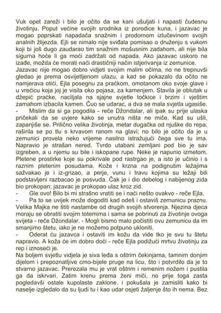 Vuk opet zareži i bilo je očito da se kani ušuljati i napasti čudesnu
životinju. Poput većine svojih srodnika iz porodice kuna, i jazavac je
mogao poprskati napadača snažnim i prodornom izlučevinom svojih
analnih žlijezda. Ejli se nimalo nije sviđala pomisao o druženju s vukom
koji bi još dugo zaudarao tim snažnim mošusnim zadahom, ali nije bila
sigurna hoće li ga moći zadržati od napada. Ako jazavac uskoro ne
izađe, možda će morati naći drastičniji način istjerivanja iz zemunice.
Jazavac nije mogao dobro vidjeti svojim malim očima, no ne trepnuvši
gledao je prema osvijetljenom ulazu, a kad se pokazalo da očito ne
namjerava otići, Ejla posegnu za praćkom, omotanom oko svoje glave i
u vrećicu koja joj je visila oko pojasa, za kamenjem. Stavila je oblutak u
džepić praćke, naciljala na sjajne svjetle točkice i brzim i vještim
zamahom izbacila kamen. Čuo se udarac, a dva se mala svjetla ugasiše.
- Mislim da si ga pogodila - reče Džondalar, ali ipak su prije ulaska
pričekali da se uvjere kako se unutra ništa ne miče. Kad su ušli,
zapanjiše se. Prilično velika životinja, metar dugačka od njuške do repa,
raširila se po tlu s krvavom ranom na glavi; no bilo je očito da je u
zemunici provela neko vrijeme nasilno istražujući čega sve tu ima.
Napravio je strašan nered. Tvrdo utabani zemljani pod bio je sav
izgreben, a u njemu su bile i iskopane rupe. Neke je napunio izmetom.
Pletene prostirke koje su pokrivale pod rastrgao je, a isto je učinio i s
raznim pletenim posudama. Kože i krzna na podignutim ležajima
sažvakao je i iz-grizao, a perje, vunu i travu kojima su ležaji bili
podstavljeni razbacao je posvuda. Čak je i dio debelog i nabijenog zida
bio prokopan; jazavac je prokopao ulaz kroz zid.
- Gle ovo! Bilo bi mi strašno vratiti se i naći nešto ovakvo - reče Ejla.
- Pa to se uvijek može dogoditi kad odeš i ostaviš zemunicu praznu.
Velika Majka ne štiti nastambe od drugih svojih stvorenja. Njezina djeca
moraju se obratiti svojim totemima i sama se pobrinuti za životinje ovoga
svijeta - reče Džondalar. - Mogli bismo malo počistiti ovu zemunicu da im
smanjimo štetu, iako je ne možemo potpuno ukloniti.
- Oderat ću jazavca i ostaviti im kožu da vide tko je svu tu štetu
napravio. A koža će im dobro doći - reče Ejla podižući mrtvu životinju za
rep i iznoseći je.
Na boljem svjetlu vidjela je siva leđa s oštrim čekinjama, tamnim donjim
dijelom i prepoznatljive crno-bijele pruge na licu, što i potvrdilo da je to
stvarno jazavac. Prerezala mu je vrat oštrim i remenim nožem i pustila
ga da iskrvari. Zatim krenu prema ženi miči, no prije toga zasta
pogledavši ostale kupolaste zaklone. i pokušala je zamisliti kako bi
naselje izgledalo da su ljudi tu i kao udar osjeti žaljenje što ih nema. Bez
 