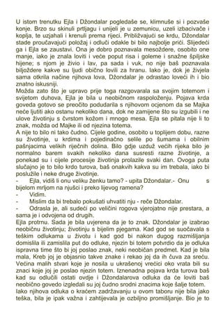 U istom trenutku Ejla i Džondalar pogledaše se, klimnuše si i pozvaše
konje. Brzo su skinuli prtljagu i unijeli je u zemunicu, uzeli izbacivače i
koplja, te uzjahali i krenuli prema rijeci. Približvajući se krdu, Džondalar
stade proučavajući položaj i odluči odakle bi bilo najbolje prići. Slijedeći
ga i Ejla se zaustavi. Ona je dobro poznavala mesoždere, osobito one
manje, iako je znala loviti i veće poput risa i goleme i snažne špiljske
hijene; s njom je živio i lav, pa sada i vuk, no nije baš poznavala
biljoždere kakve su ljudi obično lovili za hranu. Iako je, dok je živjela
sama otkrila načine njihova lova, Džondalar je odrastao loveći ih i bio
znatno iskusniji.
Možda zato što je upravo prije toga razgovarala sa svojim totemom i
svijetom duhova, Ejla je bila u neobičnom raspoloženju. Pojava krda
goveda gotovo se preočito podudarila s njihovom ocjenom da se Majka
neće ljutiti ako ostanu nekoliko dana, dok ne zamijene što su izgubili i ne
ulove životinju s čvrstom kožom i mnogo mesa. Ejla se pitala nije li to
znak, možda od Majke ili od njezina totema.
A nije to bilo ni tako čudno. Cijele godine, osobito u toplijem dobu, razne
su životinje, u krdima i pojedinačno selile po šumama i obilnim
pašnjacima velikih riječnih dolina. Bilo gdje uzduž većih rijeka bilo je
normalno barem svakih nekoliko dana susresti razne životinje, a
ponekad su i cijele procesije životinja prolazile svaki dan. Ovoga puta
slučajno je to bilo krdo turova, baš onakvih kakva su im trebala, iako bi
poslužile i neke druge životinje.
- Ejla, vidiš li onu veliku ženku tamo? - upita Džondalar.- Onu s
bijelom mrljom na njušci i preko lijevog ramena?
- Vidim.
- Mislim da bi trebalo pokušati uhvatiti nju - reče Džondalar.
- Odrasla je, ali sudeći po veličini rogova vjerojatno nije prestara, a
sama je i odvojena od drugih.
Ejla protrnu. Sada je bila uvjerena da je to znak. Džondalar je izabrao
neobičnu životinju; životinju s bijelim pjegama. Kad god se suočavala s
teškim odlukama u životu i kad god bi nakon dugog razmišljanja
domislila ili zamislila put do odluke, njezin bi totem potvrdio da je odluka
ispravna time što bi joj poslao znak, neki neobičan predmet. Kad je bila
mala, Kreb joj je objasnio takve znake i rekao joj da ih čuva za sreću.
Većina malih stvari koje je nosila u ukrašenoj vrećici oko vrata bili su
znaci koje joj je poslao njezin totem. Iznenadna pojava krda turova baš
kad su odlučili ostati ovdje i Džondalarova odluka da će loviti baš
neobično govedo izgledali su joj čudno srodni znacima koje šalje totem.
Iako njihova odluka o kraćem zadržavanju u ovom taboru nije bila jako
teška, bila je ipak važna i zahtijevala je ozbiljno promišljanje. Bio je to
 