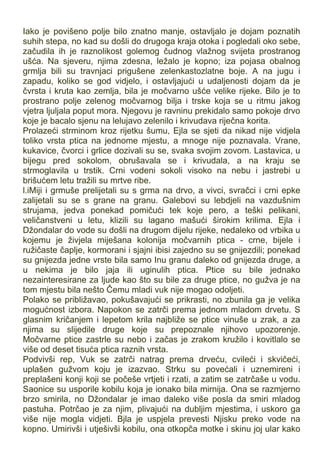 Iako je povišeno polje bilo znatno manje, ostavljalo je dojam poznatih
suhih stepa, no kad su došli do drugoga kraja otoka i pogledali oko sebe,
začudila ih je raznolikost golemog čudnog vlažnog svijeta prostranog
ušća. Na sjeveru, njima zdesna, ležalo je kopno; iza pojasa obalnog
grmlja bili su travnjaci prigušene zelenkastozlatne boje. A na jugu i
zapadu, koliko se god vidjelo, i ostavljajući u udaljenosti dojam da je
čvrsta i kruta kao zemlja, bila je močvarno ušće velike rijeke. Bilo je to
prostrano polje zelenog močvarnog bilja i trske koja se u ritmu jakog
vjetra ljuljala poput mora. Njegovu je ravninu prekidalo samo pokoje drvo
koje je bacalo sjenu na lelujavo zelenilo i krivudava riječna korita.
Prolazeći strminom kroz rijetku šumu, Ejla se sjeti da nikad nije vidjela
toliko vrsta ptica na jednome mjestu, a mnoge nije poznavala. Vrane,
kukavice, čvorci i grlice dozivali su se, svaka svojim zovom. Lastavica, u
bijegu pred sokolom, obrušavala se i krivudala, a na kraju se
strmoglavila u trstik. Crni vodeni sokoli visoko na nebu i jastrebi u
brišućem letu tražili su mrtve ribe.
l.iMiji i grmuše prelijetali su s grma na drvo, a vivci, svračci i crni epke
zalijetali su se s grane na granu. Galebovi su lebdjeli na vazdušnim
strujama, jedva ponekad pomičući tek koje pero, a teški pelikani,
veličanstveni u letu, klizili su lagano mašući širokim krilima. Ejla i
Džondalar do vode su došli na drugom dijelu rijeke, nedaleko od vrbika u
kojemu je živjela miješana kolonija močvarnih ptica - crne, bijele i
ružičaste čaplje, kormorani i sjajni ibisi zajedno su se gnijezdili; ponekad
su gnijezda jedne vrste bila samo Inu granu daleko od gnijezda druge, a
u nekima je bilo jaja ili uginulih ptica. Ptice su bile jednako
nezainteresirane za ljude kao što su bile za druge ptice, no gužva je na
tom mjestu bila nešto Čemu mladi vuk nije mogao odoljeti.
Polako se približavao, pokušavajući se prikrasti, no zbunila ga je velika
mogućnost izbora. Napokon se zatrči prema jednom mladom drvetu. S
glasnim kričanjem i lepetom krila najbliže se ptice vinuše u zrak, a za
njima su slijedile druge koje su prepoznale njihovo upozorenje.
Močvarne ptice zastrle su nebo i začas je zrakom kružilo i kovitlalo se
više od deset tisuća ptica raznih vrsta.
Podvivši rep, Vuk se zatrči natrag prema drveću, cvileći i skvičeći,
uplašen gužvom koju je izazvao. Strku su povećali i uznemireni i
preplašeni konji koji se počeše vrtjeti i rzati, a zatim se zatrčaše u vodu.
Saonice su usporile kobilu koja je ionako bila mirnija. Ona se razmjerno
brzo smirila, no Džondalar je imao daleko više posla da smiri mladog
pastuha. Potrčao je za njim, plivajući na dubljim mjestima, i uskoro ga
više nije mogla vidjeti. Bjla je uspjela prevesti Njisku preko vode na
kopno. Umirivši i utješivši kobilu, ona otkopča motke i skinu joj ular kako
 