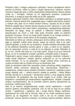 Pretežno bijeli, s blagim preljevom ružičaste i tamno obrubljenim letnim
perima na krilima, velike su ptice s dugim kljunovima i labavim vratnim
vrećama njegovale jata s malim paperjastim pelikančićima. Bučna ptičad
cvilila su i mrmljala. Odrasli su im odgovarali dubokim, prodornim
krikovima, a svega je toga bilo toliko da je bilo zaglušno.
Napola zaklonjeni trstikom, Ejla i Džondalar zadivljeno su gledali golemu
koloniju. Začuvši dubok krik, pogledaše gore i vidješe kako jedan pelikan
u niskom letu jedri na tri metra širokim krilima i spušta se da bi sletio.
Došavši negdje blizu sredine jezera skupio je krila i pljusnuo u vodu kao
kamen, pljuskajući oko sebe nakon nespretnog i neelegantnog slijetanja.
Nedaleko od njega, drugi se pelikan s raširenim krilima zalijetao,
pokušavajući se vinuti u zrak. Ejla poče shvaćati zašto se pelikani
gnijezde na jezeru. Da bi se mogli podići trebalo im je mnogo prostora i
tek kad bi se našli u zraku njihov je let postajao elegantan.
Džondalar je takne po ramenu pokazujući prema plitkoj vodi blizu otoka
gdje je nekoliko velikih ptica plivalo, sporo se mičući. Ejla ih je neko
vrijeme gledala, a onda mu se osmjehnu. Svakih nekoliko trenutaka čitav
bi niz pelikana istodobno zaronio glave u vodu, a zatim bi svi zajedno,
kao na zapovijed, izronili, a voda bi im se slijevala iz vreća. Nekoliko ih
je, ne svi, ulovilo ribe koje su u toj hajci gonili. Drugi će se put nahraniti
drugi, no svi su istodobno uranjali, savršeno usklađeni jedni s drugima.
Pojedinačni parovi druge vrste pelikana s ponešto drukčijim mrljama i
nešto ranije izleženim, zrelijim ptićima, gnijezdili su se na rubovima
velike kolonije. Tu su se gnijezdile i druge vodene ptice: močvara je
vrvjela od ptica koje su živjele od lova na bezbrojne ribe.
Cijelo je prostrano ušće bilo razmetljiv prikaz prirodnog obilja; bogatstva
životnih oblika ponosno izloženog bez ustručavanja. Nedirnuta i
neoštećena, vođena samo vlastitim prirodnim zakonima i podložna samo
svojoj vlastitoj volji - i velikoj praznini odakle je potekla - Velika Majka
Zemlja uživala je u stvaranju i održavanju života u svoj njegovoj bujnoj
raznolikosti. Ali grabežljivi dio tog života mogao bi je orobiti, oteti joj
bogatstvo i upropastiti ga neobuzdanim zagađivanjem, ukaljati i izopačiti
svojom neumjerenošću, što bi poništilo njezinu plodnu sposobnost za
stvaranje i održavanje života.
Iako bi je razorno podjarmljivanje moglo učiniti neplodnom i iscrpiti
njezinu golemu stvaralačku plodnost, ona će biti ta koja će se zadnja
smijati. I opljačkana i ogoljena, čak i svega lišena, Majka zadržava,
sposobnost da uništi što je stvorila. Njoj se ne može nametnuti jaram;
njezino joj se bogatstvo ne može uzeli a da se ne zatraži njezin
pristanak, zazove njezina suradnja i ne poštuju njezine potrebe. Njezina
 