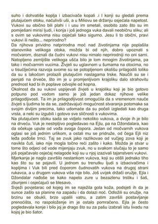suho i dohvatiše koplja i izbacivače kopali .i I konji su gledali prema
plutajućem otoku, naćulivši uši, a u Miliovu se držanju osjećala napetost.
Vukovi su obično bili plahi i i usu im smetali, osobito zato što su im
pomiješani mirisi ljudi, i konja i još jednoga vuka davali neobičnu sliku; ali
s ovim se vukovima nisu osjećali tako sigurno. Jesu li to obični, pravi
vukovi ili nešto... neprirodno?
Da njihova prividno natprirodna moć nad životinjama nije poplašila
stanovnike velikoga otoka, možda bi od njih, dobro upoznati s
močvarom, doznali da čudni vukovi nisu nimalo neprirodniji no oni sami.
Natopljeno zemljište velikoga ušća bilo je lom mnogim životinjama, pa
tako i močvarnim vucima. Živjeli su uglavnom u šumama na otocima, no
u tisućljećima razvoja svome su se potopljenom okolišu prilagodili toliko
da su s lakoćom prolazili plutajućim naslagama trske. Naučili su se i
penjati na drveće, što im je u promjenljivom krajoliku dalo strahovitu
prednost kad bi ih poplave odvojile od kopna.
Okolnost da su vukovi uspijevali živjeti u krajoliku koji je bio gotovo
potpuno pod vodom samo je još jedan dokaz njihove velike
prilagodljivosti. Ta im je prilagodljivost omogućila da s vremenom nauče
živjeti s ljudima te da se, zadržavajući mogućnost stvaranja potomaka sa
svojim divljim precima, tako udomaće da su počeli izgledati kao druga
vrsta, a neki su izgubili i gotovo sve sličnosti s vukovima.
Na plutajućem otoku sada se vidjelo nekoliko vukova, a dvoje ih je bilo
na drveću. Vuk je nestrpljivo pogledavao na Ejlu, pa na Džondalara, kao
da očekuje upute od vođa svoga čopora. Jedan od močvarnih vukova
oglasi se još jednim urlikom, a ostali mu se pridruže, od čega Ejli niz
leđa pođoše trnci. Taj se zvuk jako razlikovao od vučjeg zova koji je
navikla čuti, iako nije mogla točno reći zašto i kako. Možda je stvar u
tome što odjeci od vode mijenjaju zvuk, no u svakom slučaju to je samo
još pojačavalo osjećaj nelagode koji su u njoj izazivali tajanstveni vukovi.
Mjerkanje je naglo završilo nestankom vukova, koji su otišli jednako tiho
kao što su se pojavili. U jednom su trenutku ljudi s izbacivačima i
kopljima i Vuk bili pred čoporom čudnovatih vukova na drugoj strani
rukavca, a u drugom vukova više nije bilo. Još uvijek držači oružje, Ejla i
Džondalar nađoše se kako napeto zure u bezazlenu trstiku i šaš,
zbunjeni i osjećajući se blesavo.
Svježi povjetarac od kojeg im se naježila gola koža, podsjeti ih da je
sunce zašlo sa planine na zapadu i da dolazi noć. Odložili su oružje, na
brzinu se obukli, brzo upalili vatru, a zatim završili postavljanje
prenoćišta, no raspoloženje im je ostalo pomračeno. Ejla je često
pogledavala konje i bilo joj je drago što su za pašu izabrali istu livadu na
kojoj je bio šator.
 