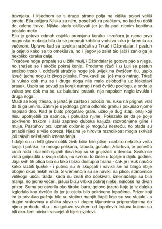 travnjaka. I kljednom se s druge strane polja na vidiku pojavi veliki
smete. Ejla potjera Njisku za njim, posežući za praćkom, no kad su došli
do zelene trave, Njiska stade oklijevati jer je tlo pod njenim kopitima
postalo meko.
Ejla je gotovo odmah osjetila promjenu koraka i srećom je njena prva
nagonska reakcija bila da se prepusti kobilinu vodstvu iako je krenula za
večerom. Upravo kad se izvukla natrčali su Trkač i Džondalar. I pastuh
je osjetio kako se tlo omekšava, no i ijegov je zalet bio jači i zanio ga je
nekoliko koraka dalje.
Trkačeve noge propale su u žitki mulj, i Džondalar je gotovo pao s njega,
no snašao se i skočio pokraj konja. Prodorno ržući i u Luli se pastuh
snažno trzao i, održavši stražnje noge još uvijek na čvršćem tlu, uspio
izvući jednu nogu iz živog pijeska. Povukavši se još malo natrag, Trkač
je vukao dok mu se i druga noga nije malo oslobodila uz klokotavi
prasak. Uspio se povući za korak natrag i naći čvršću podlogu, a onda je
vukao sve dok mu se, uz bukutavi prasak, nije napokon naglo izvukla i
druga noga.
Mladi se konj tresao, a jahač je zastao i položio mu ruku na prignuti vrat
da bi ga umirio. Zatim je s jednoga grma odlomio granu i pokušao njome
napipati dno. Kad je blato progutalo granu uzeo je dug štap, onaj koji
nisu upotrijebili za saonice, i pokušao njime. Pokazalo se da je polje
pokriveno trskom i šaši zapravo duboka kaljuža razvodnjene gline i
mulja. Pastuhov brzi uzmak otklonio je moguću nesreću, no otada su
prilazili rijeci s više opreza. Njezina je hirovita raznolikost mogla skrivati
još takvih neželjenih iznenađenja.
I dalje su u delti glavni oblik živih bića bile ptice, osobito nekoliko vrsta
čaplji i pataka, te mnogo pelikana, labuda, gusaka, ždralova, te ponešto
crnih roda i šarenih sjajnih ibisa koji su se gnijezdili u drveću. Svaka se
vrsta gnijezdila u svoje doba, no sve su to činile u toplijem dijelu godine.
Jaja svih tih ptica bila su lako i brzo dostupna hrana - čak je i Vuk naučio
kako razbiti ljuske - i putnici su ih skupljali i navikli se na blago riblje
obojen okus nekih vrsta. S vremenom su se navikli na ptice, stanovnice
velikoga ušća. Sada, kada su znali što očekivati, iznenađenja su bila
manja, no jedne večeri, jašući blizu vrbika pokraj rijeke, naiđoše na divan
prizor. Suma se otvorila oko široke bare, gotovo jezera koje je iz daleka
izgledalo kao čvršće tlo jer je cijelo bilo pokriveno lopočima. Prizor koji
im je privukao pažnju bile su stotine manjih čaplji koje su sve stajale - s
dugim vratovima u obliku slova s i dugim kljunovima pripremljenima da
njima probodu ribu - na gotovo svakom od lopočevih listova kojima su
bili okruženi mirisni rascvjetali bijeli cvjetovi.
 