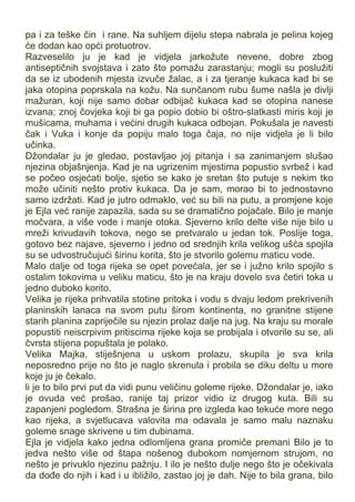 pa i za teške čin i rane. Na suhljem dijelu stepa nabrala je pelina kojeg
će dodan kao opći protuotrov.
Razveselilo ju je kad je vidjela jarkožute nevene, dobre zbog
antiseptičnih svojstava i zato što pomažu zarastanju; mogli su poslužiti
da se iz ubodenih mjesta izvuče žalac, a i za tjeranje kukaca kad bi se
jaka otopina poprskala na kožu. Na sunčanom rubu šume našla je divlji
mažuran, koji nije samo dobar odbijač kukaca kad se otopina nanese
izvana; znoj čovjeka koji bi ga popio dobio bi oštro-slatkasti miris koji je
mušicama, muhama i većini drugih kukaca odbojan. Pokušala je navesti
čak i Vuka i konje da popiju malo toga čaja, no nije vidjela je li bilo
učinka.
Džondalar ju je gledao, postavljao joj pitanja i sa zanimanjem slušao
njezina objašnjenja. Kad je na ugrizenim mjestima popustio svrbež i kad
se počeo osjećati bolje, sjetio se kako je sretan što putuje s nekim tko
može učiniti nešto protiv kukaca. Da je sam, morao bi to jednostavno
samo izdržati. Kad je jutro odmaklo, već su bili na putu, a promjene koje
je Ejla već ranije zapazila, sada su se dramatično pojačale. Bilo je manje
močvara, a više vode i manje otoka. Sjeverno krilo delte više nije bilo u
mreži krivudavih tokova, nego se pretvaralo u jedan tok. Poslije toga,
gotovo bez najave, sjeverno i jedno od srednjih krila velikog ušća spojila
su se udvostručujući širinu korita, što je stvorilo golemu maticu vode.
Malo dalje od toga rijeka se opet povećala, jer se i južno krilo spojilo s
ostalim tokovima u veliku maticu, što je na kraju dovelo sva četiri toka u
jedno duboko korito.
Velika je rijeka prihvatila stotine pritoka i vodu s dvaju ledom prekrivenih
planinskih lanaca na svom putu širom kontinenta, no granitne stijene
starih planina zapriječile su njezin prolaz dalje na jug. Na kraju su morale
popustiti neiscrpivim pritiscima rijeke koja se probijala i otvorile su se, ali
čvrsta stijena popuštala je polako.
Velika Majka, stiješnjena u uskom prolazu, skupila je sva krila
neposredno prije no što je naglo skrenula i probila se diku deltu u more
koje ju je čekalo.
li je to bilo prvi put da vidi punu veličinu goleme rijeke, Džondalar je, iako
je ovuda već prošao, ranije taj prizor vidio iz drugog kuta. Bili su
zapanjeni pogledom. Strašna je širina pre izgleda kao tekuće more nego
kao rijeka, a svjetlucava valovita ma odavala je samo malu naznaku
goleme snage skrivene u tim dubinama.
Ejla je vidjela kako jedna odlomljena grana promiče premani Bilo je to
jedva nešto više od štapa nošenog dubokom nomjernom strujom, no
nešto je privuklo njezinu pažnju. I ilo je nešto dulje nego što je očekivala
da dođe do njih i kad i u ibližilo, zastao joj je dah. Nije to bila grana, bilo
 