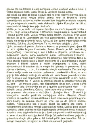 rječica, što su dolazile s višeg zemljišta. Jedan je odvod vodio u rijeku, a
velike pastrve i riječni lososi plivali su uzvodno prema jezeru.
Još otkad su stigli do rijeke i stavili ribu na svoj redovni jelovnik, Ejla je
povremeno plela mrežu sličnu onima koje je Bruno-vo pleme
upotrebljavalo za lov na velike morske ribe. Najprije je morala napraviti
niti, pa je isprobala nekoliko vrsta vlaknastih biljaka. Konoplja i lan bili su
osobito dobri, iako je konoplja bila kruća.
Mislila je da je sada već isplela dovoljno da može isprobati mrežu u
jezeru, pa je uzela jedan kraj, a Džondalar drugi i malo su se razmaknuli
i krenuli prema obali, vukući mrežu među sobom. Izvukli su dvije velike
pastrve, pa je to Džondalara još više zainteresiralo, i pitao se bi li se
moglo na mrežu pričvrstiti kakvu ručku, pa da i samo jedan čovjek može
loviti ribu, čak i ne ulazeći u vodu. Ta mu je misao ostajala u glavi.
Ujutro su nastavili prema planinama koje su se protezale pred njima. Išli
su kroz rijetko bogatu i raznoliku šumu. Drveća je bilo svakakvog
bjelogoričnog i zimzelenog i, kao i biljke u stepama, prostiralo se u
mozaičnom uzorku jasno omeđenih šuma, ispresijecanih livadama i
jezerima, a u nekim nižim krajevima tre-setištima i močvarama. Neke su
vrste drveća negdje rasle u čistim staništima ili u zajednicama s drugim
drvećem i biljem, ovisno o malim promjenama u klimi, visini,
navodnjenosti ili sastavu tla, u moglo biti glinasto ili pjeskovito ili od
pijeska miješanog u om, ili u nekoliko drugih kombinacija. Zimzeleno je
drveće radije raslo na osojnim padinama i pjeskovitijim tlima, a tamo
gdje je bilo vlažnije raslo je do velikih vi-i i usta šuma golemih smreka,
koje su rasle i više od pedeset metara u visinu, zauzimala je nižu padinu
koja se uzdizala do n i va koji su izgledali kao da su jednake visine i koji
su, četr- uik metara visoki, rasli neposredno iznad njih. Visoke šume
mnozelenih jela smjenjivale su se s gustim zajednicama viso- 111
debelih, breza bijele kore. Čak su i vrbe rasle više od dvade- i metara.
Na prisojnim obroncima s vlažnijim i plodnijim tlom i široko-ii.i je
bjelogorica također postizala zadivljujuće visine. Skupine Olemih
hrastova sa savršeno ravnim deblima iz kojih nisu str-lie pojedine grane,
osim krošnji sa zelenim lišćem na vrhu, rali su do gotovo pedeset
metara. Nepregledne lipe i jaseni donali su gotovo iste visine, a
veličanstveni javori nisu mnogo zaostajali za njima. Daleko pred sobom
putnici su vidjeli srebrna-io lišće bijelih topola umiješanih među hrastove,
a kad su tamo stigli vidjeli su da je u šumi sve puno šumskih vrabaca koji
su se e. ni jezdili u svakoj pukotini. Ejla je čak nalazila njihova gnijezda u
gnijezdima drugih ptica gdje su bili i mladi ptići i jaja domaćina. Bilo je i
mnogo crvendaća, no njihovi su mladi već napustili gnijezda.
 