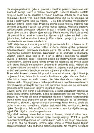 Na kosijim padinama, gdje su prorezi u lisnatom pokrovu propuštali više
sunca do zemlje, i niže je raslinje bilo bogato. Kascvali klimatisi i ostale
povijuše često su se spuštale s visokih krošanja. Jahači su prišli šumi
brijestova i bijelih vrba, pokrivenih penjačicama koje su se uspinjale uz
debla i puzavicama koje su visjele. Tu su bila gnijezda mnogobrojnih
pjegavih orlova i crnih roda. Prošli su pokraj jasika koje su treperile nad
grmljem ostružica i gustih iva pokraj jednog potoka. Miješana dubrava
veličanstvenih brijestova, skladnih breza i mirisnih lipa penjala se uz
jedan obronak, a u njihovoj sjeni rasla je šikara jestivog bilja koje su već
bili prestali brati: maline, borovnice, lijeske s još uvijek ne baš zrelim
lješnjacima, baš onakvima kakve je Ejla voljela, i pinije koje su imale
hranjive tvrde sjemenke u češerima.
Nešto dalje bio je šumarak graba koji je potisnuo bukvu, a bukva mu to
vratila malo dalje - i jedno veliko srušeno stablo graba, pokriveno
žutonarančastim pokrovom medenih gljiva, što je Ejlu potaklo da se
najozbiljnije pozabavi branjem. Džondalar joj se pridružio u skupljanju
ukusnih jestivih gljiva koje je 11 a on je otkrio i pčelinjak na jednom
drvetu. S dimnom baklji i sjekirom popeo se improviziranim ljestvama
napravljenim.! jednog palog jelinog drveta na kojem su još čvrsto stajali
bati l grana i izložio se ponekom ubodu da bi došao do saća. Najveći dio
te rijetke slastice posrkali su na licu mjesta, zajedno s pok jom pčelom,
smijući se kao djeca ljepljivom neredu koji su ni pravili na sebi.
Ti su južni krajevi odavno bili prirodni rezervat drveća, bilja i životinja
umjerene klime, istisnutih iz ostatka kontinenta, gdje vladala hladna i
suha klima. Neke su vrste borova bile tako stan da su vidjele kako
planine rastu. Odnjegovane u malim prostori ma s povoljnim uvjetima za
preživljavanje, preživjele su vrste hi le spremne da se, čim se klima opet
promijeni, brzo prošire na krajeve koji im se otvore.
Čovjek, žena, dva konja i vuk nastavili su u svom zapadnom smjeru uz
široku rijeku prema planinama. Sada su pojedinosti već bile vidljivije, a
snježni su vrhunci bili tako sveprisutan krajolik i njihovo napredovanje
prema njima tako postupno da se jedva primjećivalo da se približuju.
Ponekad su skretali u sjeverna brda šumovitoga kraja, koja su znala biti
gruba i strma, no najvećim su dijelom ipak ostali blizu ravnice oko korita
rijeke. Zemljišta su bila različita, no šumovite su ravnice dijelile mnogo
zajedničkih biljaka i drveća s planinama.
Stigavši do velikog pritoka koji je brzao s planina, putnici shvatiše da su
došli do mjesta gdje se karakter rijeke znatnije mijenja. Pritok su prešli
pomoću zdjelastog čamca, no uskoro zatim došli su do druge brze rijeke.
Bilo je to baš na skretanju prema jugu, kamo je Velika Majka Rijeka
stigla skrećući po rubu podnožja planinskog lanca. Ne mogavši se uspeti
 