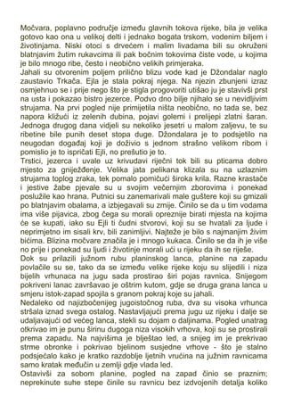 Močvara, poplavno područje između glavnih tokova rijeke, bila je velika
gotovo kao ona u velikoj delti i jednako bogata trskom, vodenim biljem i
životinjama. Niski otoci s drvećem i malim livadama bili su okruženi
blatnjavim žutim rukavcima ili pak bočnim tokovima čiste vode, u kojima
je bilo mnogo ribe, često i neobično velikih primjeraka.
Jahali su otvorenim poljem prilično blizu vode kad je Džondalar naglo
zaustavio Trkača. Ejla je stala pokraj njega. Na njezin zbunjeni izraz
osmjehnuo se i prije nego što je stigla progovoriti utišao ju je stavivši prst
na usta i pokazao bistro jezerce. Podvo dno bilje njihalo se u nevidljivim
strujama. Na prvi pogled nije primijetila ništa neobično, no tada se, bez
napora kližući iz zelenih dubina, pojavi golemi i prelijepi zlatni šaran.
Jednoga drugog dana vidjeli su nekoliko jesetri u malom zaljevu, te su
ribetine bile punih deset stopa duge. Džondalara je to podsjetilo na
neugodan događaj koji je doživio s jednom strašno velikom ribom i
pomislio je to ispričati Ejli, no prešutio je to.
Trstici, jezerca i uvale uz krivudavi riječni tok bili su pticama dobro
mjesto za gniježđenje. Velika jata pelikana klizala su na uzlaznim
strujama toplog zraka, tek pomalo pomičući široka krila. Razne krastače
i jestive žabe pjevale su u svojim večernjim zborovima i ponekad
poslužile kao hrana. Putnici su zanemarivali male guštere koji su gmizali
po blatnjavim obalama, a izbjegavali su zmije. Činilo se da u tim vodama
ima više pijavica, zbog čega su morali opreznije birati mjesta na kojima
će se kupati, iako su Ejli ti čudni stvorovi, koji su se hvatali za ljude i
neprimjetno im sisali krv, bili zanimljivi. Najteže je bilo s najmanjim živim
bićima. Blizina močvare značila je i mnogo kukaca. Činilo se da ih je više
no prije i ponekad su ljudi i životinje morali ući u rijeku da ih se riješe.
Dok su prilazili južnom rubu planinskog lanca, planine na zapadu
povlačile su se, tako da se između velike rijeke koju su slijedili i niza
bijelih vrhunaca na jugu sada prostirao širi pojas ravnica. Snijegom
pokriveni lanac završavao je oštrim kutom, gdje se druga grana lanca u
smjeru istok-zapad spojila s granom pokraj koje su jahali.
Nedaleko od najizbočenijeg jugoistočnog ruba, dva su visoka vrhunca
stršala iznad svega ostalog. Nastavljajući prema jugu uz rijeku i dalje se
udaljavajući od većeg lanca, stekli su dojam o daljinama. Pogled unatrag
otkrivao im je punu širinu dugoga niza visokih vrhova, koji su se prostirali
prema zapadu. Na najvišima je blještao led, a snijeg im je prekrivao
strme obronke i pokrivao bjelinom susjedne vrhove - što je stalno
podsjećalo kako je kratko razdoblje ljetnih vrućina na južnim ravnicama
samo kratak međučin u zemlji gdje vlada led.
Ostavivši za sobom planine, pogled na zapad činio se praznim;
neprekinute suhe stepe činile su ravnicu bez izdvojenih detalja koliko
 