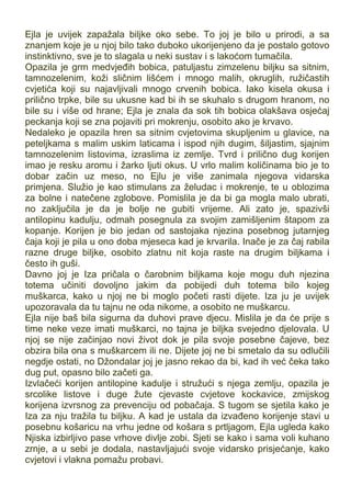 Ejla je uvijek zapažala biljke oko sebe. To joj je bilo u prirodi, a sa
znanjem koje je u njoj bilo tako duboko ukorijenjeno da je postalo gotovo
instinktivno, sve je to slagala u neki sustav i s lakoćom tumačila.
Opazila je grm medvjeđih bobica, patuljastu zimzelenu biljku sa sitnim,
tamnozelenim, koži sličnim lišćem i mnogo malih, okruglih, ružičastih
cvjetića koji su najavljivali mnogo crvenih bobica. Iako kisela okusa i
prilično trpke, bile su ukusne kad bi ih se skuhalo s drugom hranom, no
bile su i više od hrane; Ejla je znala da sok tih bobica olakšava osjećaj
peckanja koji se zna pojaviti pri mokrenju, osobito ako je krvavo.
Nedaleko je opazila hren sa sitnim cvjetovima skupljenim u glavice, na
peteljkama s malim uskim laticama i ispod njih dugim, šiljastim, sjajnim
tamnozelenim listovima, izraslima iz zemlje. Tvrd i prilično dug korijen
imao je resku aromu i žarko ljuti okus. U vrlo malim količinama bio je to
dobar začin uz meso, no Ejlu je više zanimala njegova vidarska
primjena. Služio je kao stimulans za želudac i mokrenje, te u oblozima
za bolne i natečene zglobove. Pomislila je da bi ga mogla malo ubrati,
no zaključila je da je bolje ne gubiti vrijeme. Ali zato je, spazivši
antilopinu kadulju, odmah posegnula za svojim zamišljenim štapom za
kopanje. Korijen je bio jedan od sastojaka njezina posebnog jutarnjeg
čaja koji je pila u ono doba mjeseca kad je krvarila. Inače je za čaj rabila
razne druge biljke, osobito zlatnu nit koja raste na drugim biljkama i
često ih guši.
Davno joj je Iza pričala o čarobnim biljkama koje mogu duh njezina
totema učiniti dovoljno jakim da pobijedi duh totema bilo kojeg
muškarca, kako u njoj ne bi moglo početi rasti dijete. Iza ju je uvijek
upozoravala da tu tajnu ne oda nikome, a osobito ne muškarcu.
Ejla nije baš bila sigurna da duhovi prave djecu. Mislila je da će prije s
time neke veze imati muškarci, no tajna je biljka svejedno djelovala. U
njoj se nije začinjao novi život dok je pila svoje posebne čajeve, bez
obzira bila ona s muškarcem ili ne. Dijete joj ne bi smetalo da su odlučili
negdje ostati, no Džondalar joj je jasno rekao da bi, kad ih već čeka tako
dug put, opasno bilo začeti ga.
Izvlačeći korijen antilopine kadulje i stružući s njega zemlju, opazila je
srcolike listove i duge žute cjevaste cvjetove kockavice, zmijskog
korijena izvrsnog za prevenciju od pobačaja. S tugom se sjetila kako je
Iza za nju tražila tu biljku. A kad je ustala da izvađeno korijenje stavi u
posebnu košaricu na vrhu jedne od košara s prtljagom, Ejla ugleda kako
Njiska izbirljivo pase vrhove divlje zobi. Sjeti se kako i sama voli kuhano
zrnje, a u sebi je dodala, nastavljajući svoje vidarsko prisjećanje, kako
cvjetovi i vlakna pomažu probavi.
 