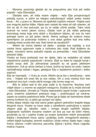 - Moramo pozornije gledati da ne propustimo ako Vuk još nešto
poplaši - reče Džondalar.
- Gledala sam, ali ništa nisam vidjela - reče Ejla provjeravajući
položaj sunca, a zatim se istegnu pokušavajući vidjeti preko visoke
trave. - Ali, u pravu si. Moramo se opskrbiti svježim mesom. Vidjela sam
sve moguće jestive biljke. Htjela sam zastati da neke od njih uberem, ali
čini se da ih ima posvuda, pa ću to radije učiniti poslije. Tako neće
uvenuti na ovom jakom suncu. Ostalo nam je još nešto pečenog
bizonskog mesa koje smo dobili u Koviljskom taboru, ali ono će nam
potrajati samo za još jedan obrok. Nema razloga da sušeno meso
spremljeno za putovanje trošimo u ovo doba godine kad ima toliko
svježeg mesa svuda oko nas. Kad ćemo se zaustaviti?
- Mislim da nismo daleko od rijeke - postaje sve svježije, a ova
visoka trava uglavnom raste u nizinama oko vode. Kad dođemo do
rijeke, nizvodno ćemo potražiti mjesto za prenoćište - reče Džondalar
polazeći dalje.
Visoka se trava protezala sve do rijeke, iako se nedaleko od obale
mjestimično počelo pojavljivati i drveće. Stali su kako bi napojili konje i
utažili svoju žeđ. Za zahvaćanje poslužili su se gusto pletenom
košaricom. Vuk je ubrzo istrčao iz trave, bučno se bacio na vodu i nakon
rashlađivanja izašao i legao, gledajući Ejlu s isplaženim jezikom i teško
sopćući.
Ejla se nasmiješi. - I Vuku je vruće. Mislim da je bio u istraživanju - reče
ona. - Voljela bih znati što je sve našao. On u ovoj visokoj travi kao
prednost ima njuh i može otkriti mnogo više lovine nego mi.
- Bilo bi dobro kad bi što prije izašli iz te travurine. Navikao sam
vidjeti obzor i u ovome se osjećam nesigurno. Svašta se tu može skrivati
- reče Džondalar. Uhvatio je Trkača neposredno ispod čvrste i uspravne
grive, snažnim odskokom prebacio nogu i, pridržavajući se rukama,
uspeo na snažna pastuhova leđa. Poveo ga je dalje od razmočene obale
prema čvršćem tlu, a zatim ga usmjeri niz rijeku.
Velika stepa nikako nije bila samo jedan golemi jednolični krajolik blago
lelujavih trava. Visoke su trave rasle u određenim područjima s većom
vlagom gdje je, također, raslo i mnogo drugih različitih biljaka.
Zasjenjene različitim travama visokim od dva pa sve do četiri metra,
prostirale su se i cvjetne livade sa svojim šarenilom niskih procvjetalih
biljaka i širokolisnih trava: astra i podbolja; žutih, mnogolisnih alanata i
velikih bijelih kužnjaka; zemnih oraščića i divlje mrkve; bijele repe i zelja;
hrena, slačice i malih lukovica; perunika, ljiljana i ljutića; ribiza i jagoda;
malina i kupina.
 