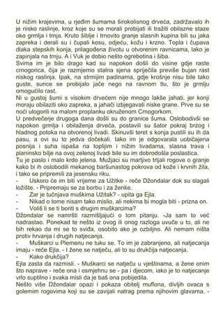 U nižim krajevima, u rjeđim šumama širokolisnog drveća, zadržavalo ih
je nisko raslinje, kroz koje su se morali probijati ili tražiti obilazne staze
oko grmlja i trnja. Kruto šiblje i trnovito granje slasnih kupina bili su jaka
zapreka i derali su i čupali kosu, odjeću, kožu i krzno. Topla i čupava
dlaka stepskih konja, prilagođena životu u otvorenim ravnicama, lako je
zapinjala na trnju. A i Vuk je dobio nešto ogrebotina i šiba.
Svima im je bilo drago kad su napokon došli do visine gdje raste
crnogorica, čija je razmjerno stalna sjena spriječila previše bujan rast
niskog raslinja. Ipak, na strmijim padinama, gdje krošnje nisu bile tako
guste, sunce se probijalo jače nego na ravnom tlu, što je grmlju
omogućilo rast.
Ni u gustoj šumi s visokim drvećem nije mnogo lakše jahati, jer konji
moraju obilaziti oko zapreka, a jahači izbjegavati niske grane. Prve su se
noći ulogorili na malom proplanku okruženom Crnogorkom.
U predvečerje drugoga dana došli su do granice šuma. Oslobodivši se
napokon grmlja i obilaženja drveća, postavili su šator pokraj brzog i
hladnog potoka na otvorenoj livadi. Skinuvši teret s konja pustili su ih da
pasu, a ovi su to jedva dočekali. Iako im je odgovarala uobičajena
posnija i suha ispaša na toplijim i nižim livadama, slasna trava i
planinsko bilje na ovoj zelenoj livadi bile su im dobrodošla poslastica.
Tu je paslo i malo krdo jelena. Mužjaci su marljivo trljali rogove o granje
kako bi ih oslobodili mekanog baršunastog pokrova od kože i krvnih žila,
i tako se pripremili za jesensku riku.
- Uskoro će im biti vrijeme za Užitke - reče Džondalar dok su slagali
ložište. - Pripremaju se za borbu i za ženke.
- Zar je tučnjava muškima Užitak? - upita ga Ejla.
- Nikad o tome nisam tako mislio, ali nekima bi mogla biti - prizna on.
- Voliš li se ti boriti s drugim muškarcima?
Džondalar se namršti razmišljajući o tom pitanju. -Ja sam to već
nadrastao. Ponekad te nešto iz ovog ili onog razloga uvuče u to, ali ne
bih rekao da mi se to sviđa, osobito ako je ozbiljno. Ali nemam ništa
protiv hrvanja i drugih natjecanja.
- Muškarci u Plemenu ne tuku se. To im je zabranjeno, ali natjecanja
imaju - reče Ejla. - I žene se natječu, ali to su drukčija natjecanja.
- Kako drukčija?
Ejla zasta da razmisli. - Muškarci se natječu u vještinama, a žene onim
što naprave - reče ona i osmjehnu se - pa i djecom, iako je to natjecanje
vrlo suptilno i svaka misli da je baš ona pobijedila.
Nešto više Džondalar opazi i pokaza obitelj muflona, divljih ovaca s
golemim rogovima koji su se zavijali natrag prema njihovim glavama. -
 