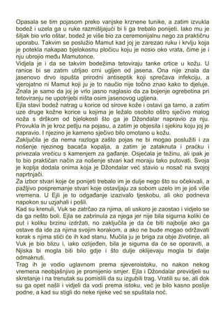 Opasala se tim pojasom preko vanjske krznene tunike, a zatim izvukla
bodež i uzela ga u ruke razmišljajući bi li ga trebalo ponijeti. Iako mu je
šiljak bio vrlo oštar, bodež je više bio za ceremonijalnu nego za praktičnu
uporabu. Takvim se poslužio Mamut kad joj je zarezao ruku i krvlju koja
je potekla nakapao bjelokosnu pločicu koju je nosio oko vrata, čime je i
nju ubrojio među Mamutonce.
Vidjela je i da se takvim bodežima tetoviraju tanke crtice u kožu. U
ranice bi se zatim utrljao crni ugljen od jasena. Ona nije znala da
jasenovo drvo ispušta prirodni antiseptik koji sprečava infekciju, a
vjerojatno ni Mamut koji ju je to naučio nije točno znao kako to djeluje.
Znala je samo da joj je vrlo jasno naglasio da za bojenje ogrebotina pri
tetoviranju ne upotrijebi ništa osim jasenovog ugljena.
Ejla stavi bodež natrag u korice od sirove kože i ostavi ga tamo, a zatim
uze druge kožne korice u kojima je ležalo osobito oštro sječivo malog
noža s drškom od bjelokosti što ga je Džondalar napravio za nju.
Provukla ih je kroz petlju na pojasu, a zatim je objesila i sjekiru koju joj je
napravio. I njezino je kameno sječivo bilo omotano u kožu.
Zaključila je da nema razloga zašto pojas ne bi mogao poslužiti i za
nošenje njezinog bacača kopalja, a zatim je zataknuta i praćku i
privezala vrećicu s kamenjem za gađanje. Osjećala je težinu, ali ipak je
to bio praktičan način za nošenje stvari kad moraju tako putovati. Svoja
je koplja dodala onima koja je Džondalar već stavio u nosač na svojoj
naprtnjači.
Za izbor stvari koje će ponijeti trebalo im je dulje nego što su očekivali, a
pažljivo pospremanje stvari koje ostavljaju za sobom uzelo im je još više
vremena. U Ejli je to odgađanje izazivalo tjeskobu, ali oko podneva
napokon su uzjahali i pošli.
Kad su krenuli, Vuk se zatrčao za njima, ali uskoro je zaostao i vidjelo se
da ga nešto boli. Ejla se zabrinula za njega jer nije bila sigurna koliki će
put i koliku brzinu izdržati, no zaključila je da će biti najbolje ako ga
ostave da ide za njima svojim korakom, a ako ne bude mogao održavati
korak s njima stići će ih kad stanu. Mučila ju je briga za obje životinje, ali
Vuk je bio blizu i, iako ozlijeđen, bila je sigurna da će se oporaviti, a
Njiska bi mogla biti bilo gdje i što dulje oklijevaju mogla bi dalje
odmaknuti.
Trag ih je vodio uglavnom prema sjeveroistoku, no nakon nekog
vremena neobjašnjivo je promijenio smjer. Ejla i Džondalar previdjeli su
skretanje i na trenutak su pomislili da su izgubili trag. Vratili su se, ali dok
su ga opet našli i vidjeli da vodi prema istoku, već je bilo kasno poslije
podne, a kad su stigli do neke rijeke već se spuštala noć.
 