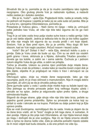 Jean_M._Auel_-_4_Ravnice_povratka.pdf