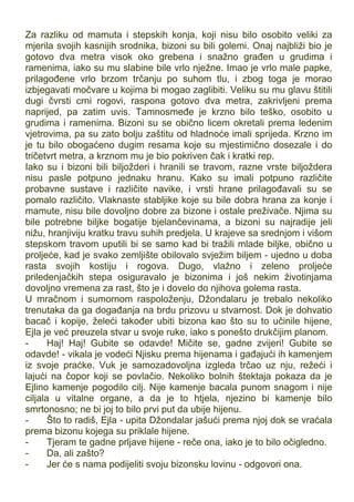 Za razliku od mamuta i stepskih konja, koji nisu bilo osobito veliki za
mjerila svojih kasnijih srodnika, bizoni su bili golemi. Onaj najbliži bio je
gotovo dva metra visok oko grebena i snažno građen u grudima i
ramenima, iako su mu slabine bile vrlo nježne. Imao je vrlo male papke,
prilagođene vrlo brzom trčanju po suhom tlu, i zbog toga je morao
izbjegavati močvare u kojima bi mogao zaglibiti. Veliku su mu glavu štitili
dugi čvrsti crni rogovi, raspona gotovo dva metra, zakrivljeni prema
naprijed, pa zatim uvis. Tamnosmeđe je krzno bilo teško, osobito u
grudima i ramenima. Bizoni su se obično licem okretali prema ledenim
vjetrovima, pa su zato bolju zaštitu od hladnoće imali sprijeda. Krzno im
je tu bilo obogaćeno dugim resama koje su mjestimično dosezale i do
tričetvrt metra, a krznom mu je bio pokriven čak i kratki rep.
Iako su i bizoni bili biljožderi i hranili se travom, razne vrste biljoždera
nisu pasle potpuno jednaku hranu. Kako su imali potpuno različite
probavne sustave i različite navike, i vrsti hrane prilagođavali su se
pomalo različito. Vlaknaste stabljike koje su bile dobra hrana za konje i
mamute, nisu bile dovoljno dobre za bizone i ostale preživače. Njima su
bile potrebne biljke bogatije bjelančevinama, a bizoni su najradije jeli
nižu, hranjiviju kratku travu suhih predjela. U krajeve sa srednjom i višom
stepskom travom uputili bi se samo kad bi tražili mlade biljke, obično u
proljeće, kad je svako zemljište obilovalo svježim biljem - ujedno u doba
rasta svojih kostiju i rogova. Dugo, vlažno i zeleno proljeće
priledenjačkih stepa osiguravalo je bizonima i još nekim životinjama
dovoljno vremena za rast, što je i dovelo do njihova golema rasta.
U mračnom i sumornom raspoloženju, Džondalaru je trebalo nekoliko
trenutaka da ga događanja na brdu prizovu u stvarnost. Dok je dohvatio
bacač i kopije, želeći također ubiti bizona kao što su to učinile hijene,
Ejla je već preuzela stvar u svoje ruke, iako s ponešto drukčijim planom.
- Haj! Haj! Gubite se odavde! Mičite se, gadne zvijeri! Gubite se
odavde! - vikala je vodeći Njisku prema hijenama i gađajući ih kamenjem
iz svoje praćke. Vuk je samozadovoljna izgleda trčao uz nju, režeći i
lajući na čopor koji se povlačio. Nekoliko bolnih štektaja pokaza da je
Ejlino kamenje pogodilo cilj. Nije kamenje bacala punom snagom i nije
ciljala u vitalne organe, a da je to htjela, njezino bi kamenje bilo
smrtonosno; ne bi joj to bilo prvi put da ubije hijenu.
- Što to radiš, Ejla - upita Džondalar jašući prema njoj dok se vraćala
prema bizonu kojega su priklale hijene.
- Tjeram te gadne prljave hijene - reče ona, iako je to bilo očigledno.
- Da, ali zašto?
- Jer će s nama podijeliti svoju bizonsku lovinu - odgovori ona.
 