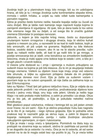 Jean_M._Auel_-_4_Ravnice_povratka.pdf