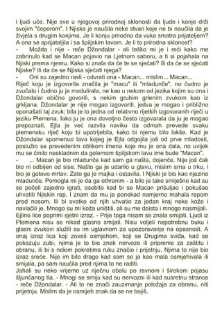 i ljudi uče. Nije sve u njegovoj prirodnoj sklonosti da ljude i konje drži
svojim "čoporom". I Njiska je naučila neke stvari koje ne bi naučila da je
živjela s drugim konjima. Je li konju prirodno da vuka smatra prijateljem?
A ona se sprijateljila i sa špiljskim lavom. Je li to prirodna sklonost?
- Možda i nije - reče Džondalar - ali teško mi je i reći kako me
zabrinulo kad se Macan pojavio na Ljetnom saboru, a ti si pojahala na
Njiski prema njemu. Kako si znala da će te se sjećati? Ili da će se sjećati
Njiske? Ili da će se Njiska sjećati njega?
- Oni su zajedno rasli - odvrati ona - Macan... mislim... Macan...
Riječ koju je izgovorila značila je "macu" ili "mladunče", no čudno je
zvučalo i čudno ju je modulirala, ne kao u nekom od jezika kojim su ona i
Džondalar obično govorili, s nekim grubim grlenim zvukom kao iz
grkljana. Džondalar je nije mogao izgovoriti, jedva je mogao i približno
oponašati taj zvuk; bila je to jedna od relativno rijetkih izgovaranih riječi u
jeziku Plemena. Iako ju je ona dovoljno često izgovarala da ju je mogao
prepoznati, Ejla je već razvila naviku da odmah prevede svaku
plemensku riječ koju bi upotrijebila, kako bi njemu bilo lakše. Kad je
Džondalar spomenuo lava kojeg je Ejla odgojila još od prve mladosti,
poslužio se prevedenim oblikom imena koje mu je ona dala, no uvijek
mu se činilo neskladnim da golemom špiljskom lavu ime bude "Macan".
- ... Macan je bio mladunče kad sam ga našla, dojenče. Nije još čak
bio ni odbijen od sise. Nešto ga je udarilo u glavu, mislim srna u trku, i
bio je gotovo mrtav. Zato ga je majka i ostavila. I Njiski je bio kao njezino
mladunče. Pomogla mi je da ga othranim - a bilo je tako smiješno kad su
se počeli zajedno igrati, osobito kad bi se Macan prišuljao i pokušao
uhvatiti Njiskin rep. I znam da mu je ponekad namjerno mahala repom
pred nosom. Ili bi svatko od njih uhvatio za jedan kraj neke kože i
navlačili je. Mnogo su mi koža uništili, ali su me doista i mnogo nasmijali.
Ejlino lice poprimi sjetni izraz. - Prije toga nisam se znala smijati. Ljudi iz
Plemena nisu se nikad glasno smijali. Nisu voljeli nepotrebnu buku i
glasni zvukovi služili su im uglavnom za upozoravanje na opasnost. A
onaj izraz lica koji zoveš osmjehom, koji se Drugima sviđa, kad se
pokazuju zubi, njima je to bio znak nervoze ili pripreme za zaštitu i
obranu, ili bi s nekim pokretima ruku značio i prijetnju. Njima to nije bio
izraz sreće. Nije im bilo drago kad sam se ja kao mala osmjehivala ili
smijala, pa sam naučila pred njima to ne raditi.
Jahali su neko vrijeme uz riječnu obalu po ravnom i širokom pojasu
šljunčanog tla. - Mnogi se smiju kad su nervozni ili kad susretnu strance
- reče Džondalar. - Ali to ne znači zauzimanje položaja za obranu, niti
prijetnju. Mislim da je osmijeh znak da se ne bojiš.
 