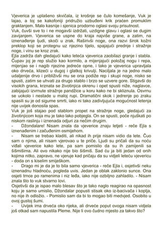 Vjeverica je uplašeno skvičala, iz krošnje se čulo komešanje, Vuk je
lajao, a toj se kakofoniji pridružio uzbuđeni krik praćen promuklim
graktanjem. Malo kasnije i sjenica prodorno oglasi svoju prisutnost.
Vuk, čuvši sve to i ne mogavši izdržati, uzdigne glavu i oglasi se dugim
zavijanjem. Vjeverica se uspne do kraja najviše grane, a zatim, na
iznenađenje ljudi, skoči u zrak. Raširivši noge, ona razvi širok kožni
preklop koji se protegnu uz njezino tijelo, spajajući prednje i stražnje
noge, i vinu se kroz zrak.
Ejla zadrža dah gledajući kako leteća vjeverica zaobilazi granje i stabla.
Čupav joj je rep služio kao kormilo, a mijenjajući položaj nogu i repa,
mijenjao se i nagib njezine jedreće opne, i tako je vjeverica upravljala
oko drveća, klizeći u dugoj i glatkoj krivulji. Naciljala je na jedno malo
udaljenije drvo i približivši mu se ona podiže rep i skupi noge, nisko se
spusti, zatim se uhvati za drugo stablo i brzo se uzvere gore. Stigavši do
visokih grana, krznata se životinjica okrenu i opet spusti niže, naglavce,
zabijajući izvrnute stražnje pandžice u koru kako ne bi skliznula. Osvrnu
se uokolo i nestade u maloj rupi. Dramatični skok i jedrenje po zraku
spasili su je od sigurne smrti, iako ni tako zadivljujuća mogućnost letenja
nije uvijek donosila spas.
Vuk je još stajao pod stablom propet na stražnje noge, gledajući za
životinjicom koja mu je tako lako pobjegla. On se spusti, poče njuškati po
niskom raslinju i iznenada odjuri za nečim drugim.
- Džondalare! Nisam znala da vjeverice znaju letjeti - reče Ejla s
iznenađenim i začuđenim osmijehom.
- Nisam se trebao kladiti, ali nikad ih prije nisam vidio da lete. Čuo
sam o njima, ali nisam vjerovao u te priče. Ljudi su pričali da su noću
viđali vjeverice kako lete, pa sam pomislio da su ih zamijenili sa
šišmišima. Ali ovo nikako nije bio šišmiš. Sad ću ja biti jedan od onih
kojima nitko, zapravo, ne vjeruje kad pričaju da su vidjeli leteću vjevericu
- doda on s kiselim smiješkom.
- Drago mi je da je to bila samo vjeverica - reče Ejla i, osjetivši neku
iznenadnu hladnoću, pogleda uvis. Jedan je oblak zaklonio sunce. Ona
osjeti trnce po ramenima i niz leđa, iako nije ozbiljno zahladilo. - Nisam
znala što to vuk stvarno lovi.
Osjetivši da je ispao malo blesav što je tako naglo reagirao na opasnost
koju je samo umislio, Džondalar popusti stisak oko iz-bacivača i koplja,
no nije ih odložio. - Pomislio sam da bi to mogao biti medvjed. Osobito u
ovoj gustoj šumi.
- Uvijek ima drveća oko rijeka, ali drveće poput ovoga nisam vidjela
još otkad sam napustila Pleme. Nije li ovo čudno mjesto za takvo što?
 