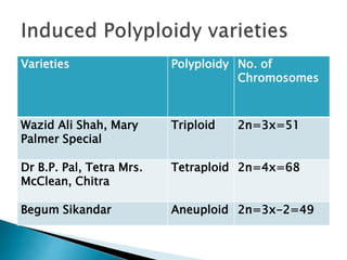 Varieties Polyploidy No. of
Chromosomes
Wazid Ali Shah, Mary
Palmer Special
Triploid 2n=3x=51
Dr B.P. Pal, Tetra Mrs.
McClean, Chitra
Tetraploid 2n=4x=68
Begum Sikandar Aneuploid 2n=3x-2=49
 