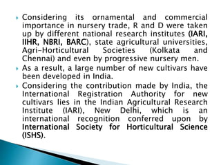  Considering its ornamental and commercial
importance in nursery trade, R and D were taken
up by different national research institutes (IARI,
IIHR, NBRI, BARC), state agricultural universities,
Agri-Horticultural Societies (Kolkata and
Chennai) and even by progressive nursery men.
 As a result, a large number of new cultivars have
been developed in India.
 Considering the contribution made by India, the
International Registration Authority for new
cultivars lies in the Indian Agricultural Research
Institute (IARI), New Delhi, which is an
international recognition conferred upon by
International Society for Horticultural Science
(ISHS).
 