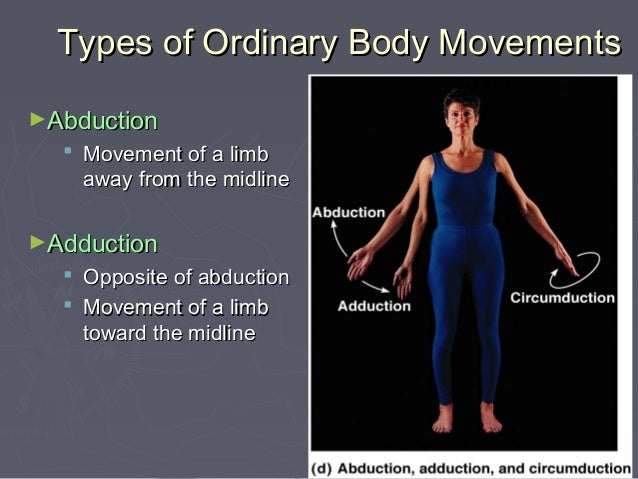Body movements1