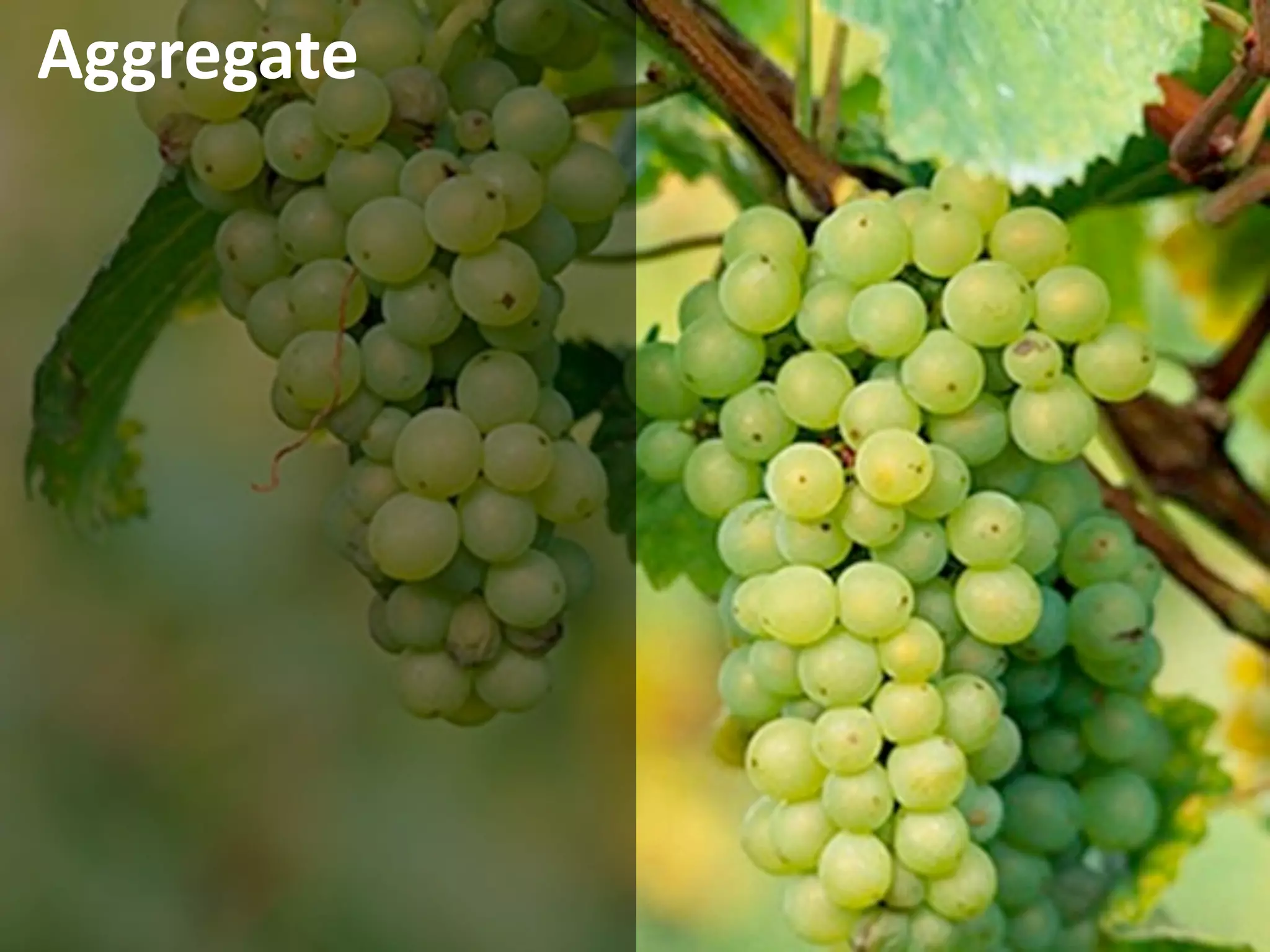 Aggregate




            © Alberto Brandolini ‐ 2010
 