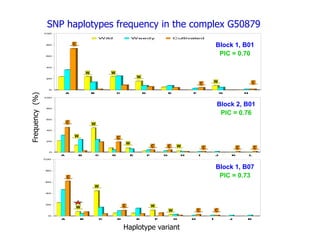 Experimental validation, integration to the linkage map and gene flow pilot study in common bean using Single Nucleotide Polymorphisms (SNPs)