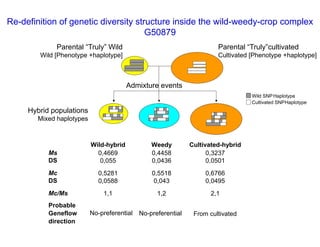 Experimental validation, integration to the linkage map and gene flow pilot study in common bean using Single Nucleotide Polymorphisms (SNPs)