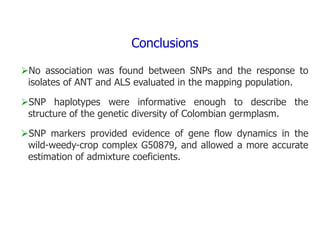 Experimental validation, integration to the linkage map and gene flow pilot study in common bean using Single Nucleotide Polymorphisms (SNPs)