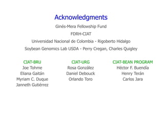 Experimental validation, integration to the linkage map and gene flow pilot study in common bean using Single Nucleotide Polymorphisms (SNPs)