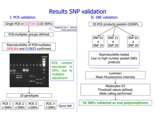 Experimental validation, integration to the linkage map and gene flow pilot study in common bean using Single Nucleotide Polymorphisms (SNPs)