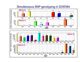 Experimental validation, integration to the linkage map and gene flow pilot study in common bean using Single Nucleotide Polymorphisms (SNPs)