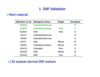 Experimental validation, integration to the linkage map and gene flow pilot study in common bean using Single Nucleotide Polymorphisms (SNPs)