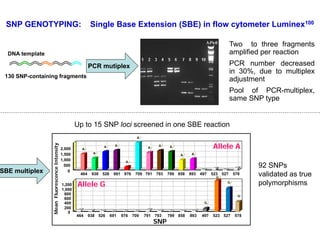 Experimental validation, integration to the linkage map and gene flow pilot study in common bean using Single Nucleotide Polymorphisms (SNPs)