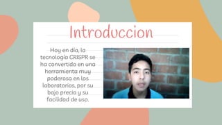 Introduccion
Hoy en día, la
tecnología CRISPR se
ha convertido en una
herramienta muy
poderosa en los
laboratorios, por su
bajo precio y su
facilidad de uso.
 