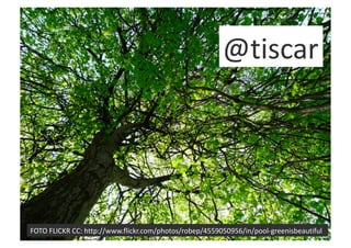 @tiscar 




FOTO FLICKR CC: http://www.flickr.com/photos/robep/4559050956/in/pool‐greenisbeautiful 
 