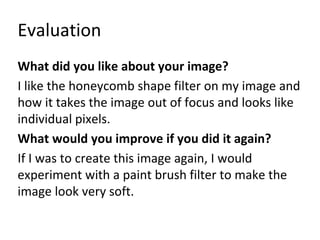 Evaluation 
What did you like about your image? 
I like the honeycomb shape filter on my image and 
how it takes the image out of focus and looks like 
individual pixels. 
What would you improve if you did it again? 
If I was to create this image again, I would 
experiment with a paint brush filter to make the 
image look very soft. 
 