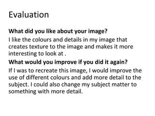 Evaluation 
What did you like about your image? 
I like the colours and details in my image that 
creates texture to the image and makes it more 
interesting to look at . 
What would you improve if you did it again? 
If I was to recreate this image, I would improve the 
use of different colours and add more detail to the 
subject. I could also change my subject matter to 
something with more detail. 
 