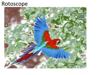 Rotoscope 
 