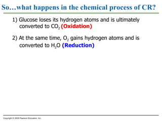 So…what happens in the chemical process of CR? 1) Glucose loses its hydrogen atoms and is ultimately converted to CO 2  (Oxidation) 2) At the same time, O 2  gains hydrogen atoms and is converted to H 2 O  (Reduction) Copyright © 2009 Pearson Education, Inc. 