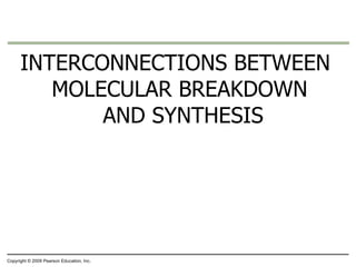 INTERCONNECTIONS BETWEEN MOLECULAR BREAKDOWN  AND SYNTHESIS Copyright © 2009 Pearson Education, Inc. 