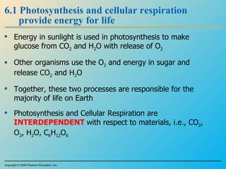 6.1 Photosynthesis and cellular respiration provide energy for life Energy in sunlight is used in photosynthesis to make glucose from CO 2  and H 2 O with release of O 2 Other organisms use the O 2  and energy in sugar and release CO 2  and H 2 O Together, these two processes are responsible for the majority of life on Earth Photosynthesis and Cellular Respiration are  INTERDEPENDENT  with respect to materials, i.e., CO 2 , O 2 , H 2 O, C 6 H 12 O 6 Copyright © 2009 Pearson Education, Inc. 