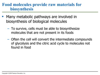 Food molecules provide raw materials for biosynthesis Many metabolic pathways are involved in biosynthesis of biological molecules To survive, cells must be able to biosynthesize molecules that are not present in its foods Often the cell will convert the intermediate compounds of glycolysis and the citric acid cycle to molecules not found in food Copyright © 2009 Pearson Education, Inc. 